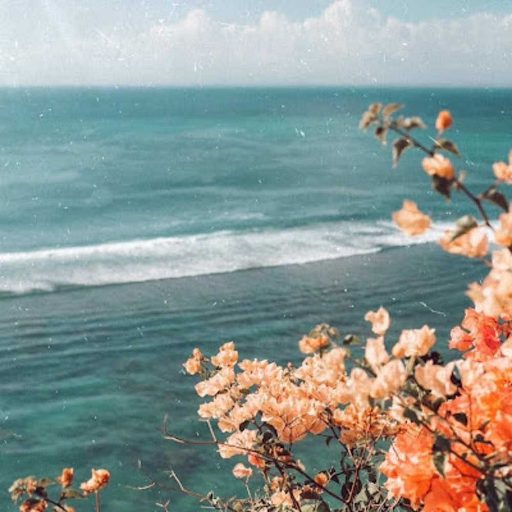 Meet your Posher, Yazmin